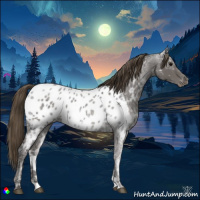 Horse Color:Smoky Blue Ice Roan Near Leopard 