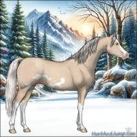 Horse Color:Silver Classic Champagne Dun Splash Frame 
