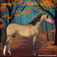 Horse Color:Buckskin Dun 