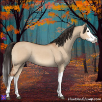 Horse Color:Bay Dun Splash 