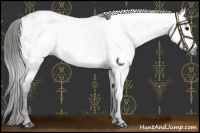 Horse Color:Gray Grullo Near Leopard