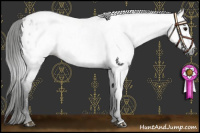 Horse Color:Gray Grullo Appaloosa 