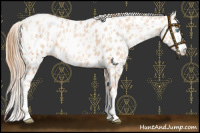 Horse Color:Gold Champagne Pearl Leopard Rabicano  and Gold Champagne Pearl Splash Leopard Rabicano 