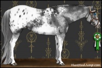 Horse Color:White Spotted Black Splash Tobiano Frame Appaloosa 