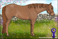 Horse Color:Red Roan 