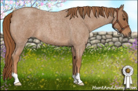 Horse Color:Red Roan