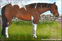 Horse Color:Bay Tobiano 