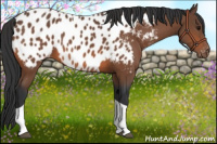 Horse Color:Bay Tobiano Near Leopard 