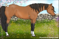 Horse Color:Bay Tobiano 