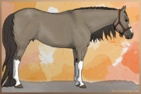 Horse Color:Smoky Grullo 