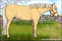 Horse Color:Palomino 