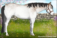 Horse Color:White Spotted Bay Dun Sabino 
