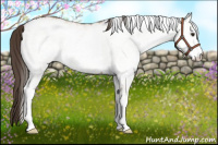 Horse Color:White Spotted Classic Champagne 