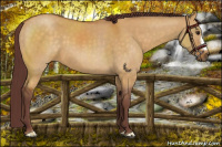 Horse Color:Chocolate Buckskin Dun 