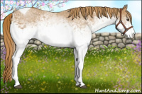 Horse Color:White Spotted Chestnut Tobiano 