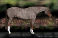 Horse Color:Liver Red Roan  and Liver Red Roan Tobiano 
