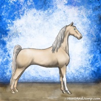 Horse Color:Silver Smoky Black Pearl 