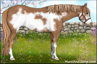 Horse Color:Chestnut Sabino Frame