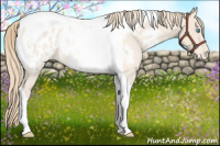 Horse Color:Perlino Roan Tobiano Blanket Rabicano