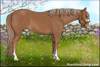Horse Color:Chestnut Sabino