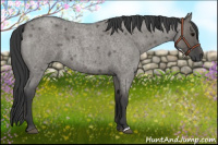 Horse Color:Grullo Roan 