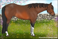 Horse Color:Bay Tobiano 