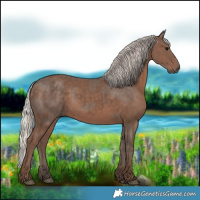 Horse Color:Silver Black  and Silver Black 