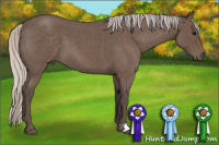 Horse Color:Silver Blue Roan