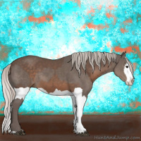 Horse Color:Silver Black  and Silver Black Splash 