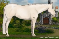Horse Color:Gold Cream Champagne Pearl 