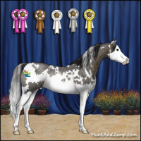 Horse Color:White Spotted Buckskin Roan Splash Rabicano 
