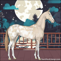 Horse Color:White Spotted Perlino Appaloosa