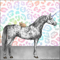 Horse Color:Black and Gray Black