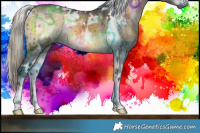 Horse Color:Gray White Spotted Silver Buckskin Ice Onyx Brindle