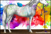 Horse Color:Gray White Spotted Silver Grullo Pearl Sabino Frame Brindle 