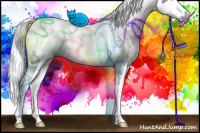 Horse Color:Gray White Spotted Chocolate Palomino Dun Sabino 