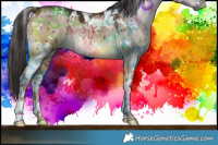 Horse Color:White Spotted Liver Red Dun Brindle 