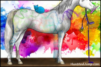 Horse Color:Gray White Spotted Chocolate Palomino Dun Mushroom Brindle 