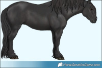Horse Color:Black  and Smoky Black 