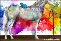 Horse Color:White Spotted Liver Red Dun Ice Mushroom Splash Rabicano Brindle 