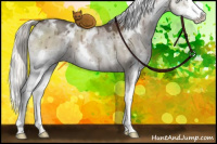 Horse Color:White Spotted Liver Red Dun Mushroom Splash Brindle