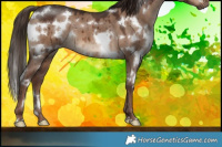 Horse Color:White Spotted Liver Red Dun Brindle 