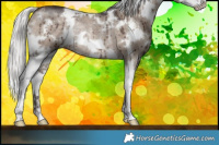 Horse Color:White Spotted Silver Brown Dun Mushroom Splash Rabicano Brindle 