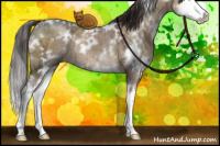Horse Color:White Spotted Liver Red Dun Ice Splash Brindle 