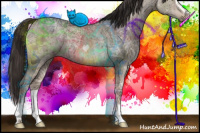 Horse Color:Liver Red Dun Ice Sabino Brindle 