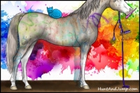 Horse Color:Silver Grullo Pearl Onyx Sabino Brindle