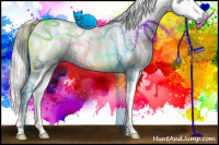 Horse Color:Gray White Spotted Chocolate Palomino Pearl Dun Mushroom Splash Brindle 