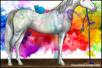 Horse Color:Gray White Spotted Brown Ice Pearl Dun 