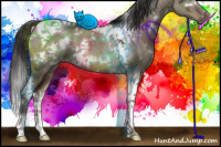 Horse Color:White Spotted Liver Red Dun Ice Tobiano Rabicano 