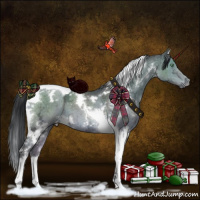 Horse Color:White Spotted Brown Ice Dun Mushroom Tobiano Brindle 